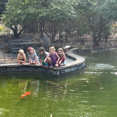 HCS Kindergarden Photos 03